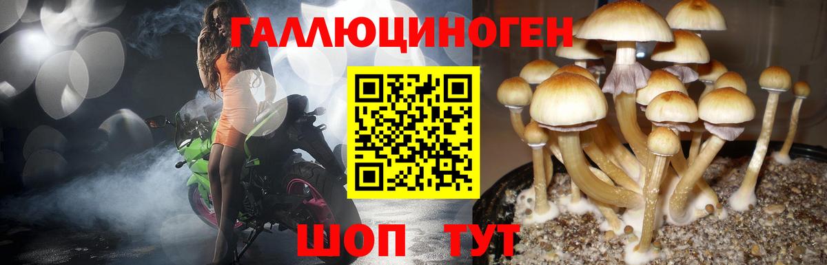 Псилоцибиновые грибы Cubensis  Вход с VPN  Усть-Илимск  Псилоцибиновые грибы мухоморы 